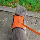 PUPTECK Soft Mesh Cat Vest Harness and Leash Set Puppy Padded Pet Harnesses Escape Proof for Cats, Dogs Rabbits Bunny, Orange, XL