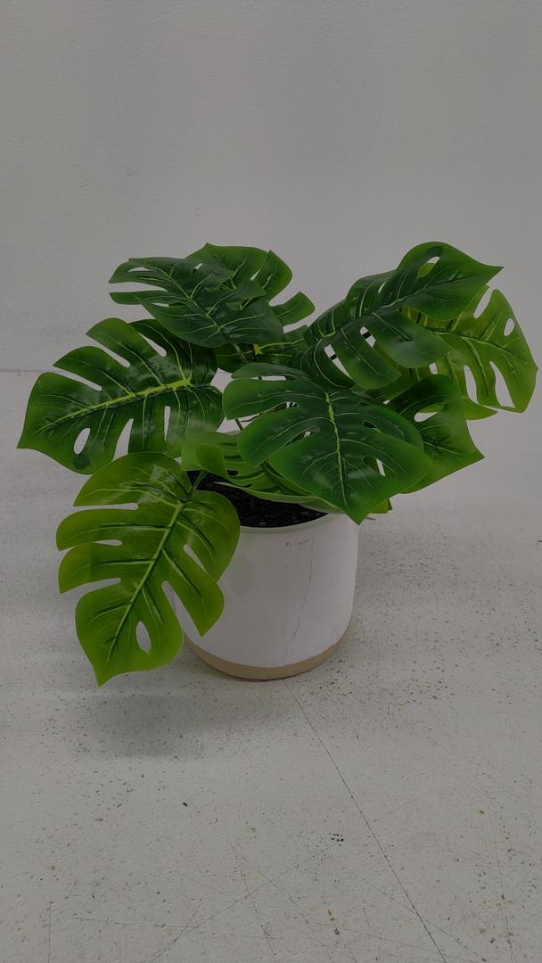 14" Monstera Greenery