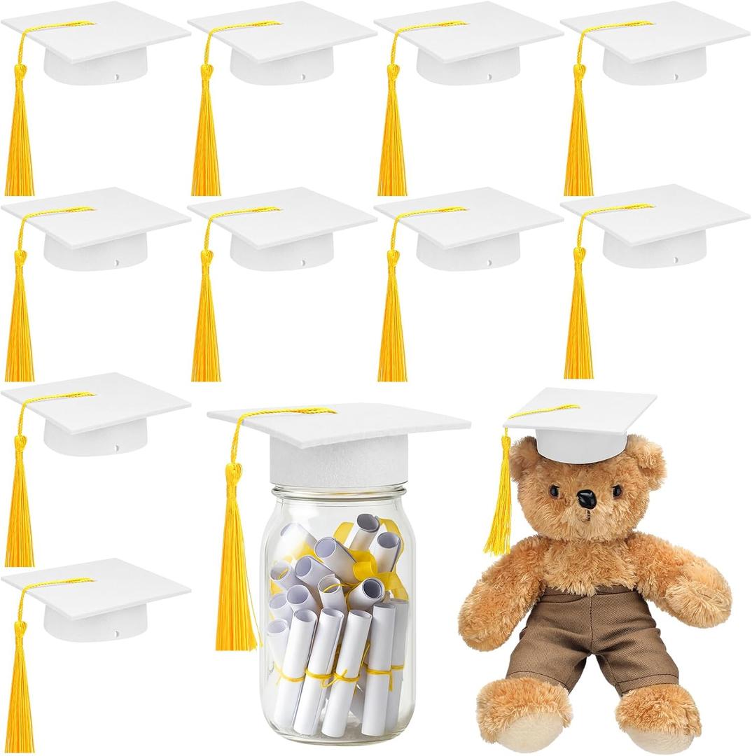 Foilswirl 12 Pcs Mini Graduation Cap with Tassel Mini Plush Mason Jar Small Animal Bachelor Hat Photo Prop Party Supply