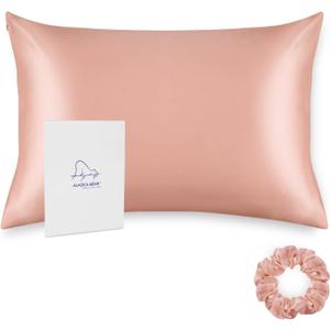 ALASKA BEAR Natural Silk Pillowcase, Hypoallergenic, 19 Momme, 600 Thread Count 100 Percent Mulberry Silk, Queen Size with Hidden Zipper (1, Dusty Pink) (Queen 20''x30'')