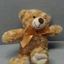 Silipull Remembrance Bear 12 Inch Rose Velvet Stuffed Animal with Recorder Brown Voice Recording Stuffed Animal with Picture Frame Recordable Gifts Fabric Toy