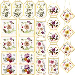 Soaoo 24 Pcs Brass Glass Frames for Pressed Flowers Wall, 6 Shapes, Gold, 4.1 x 6.1 inches