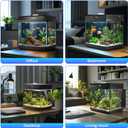 AQQA 3.7 Gallon Aquarium Starter Kit Small Glass Fish Tank with Filter and Light (10 Colors Adjustable) Desktop Self-Cleaning Betta Fish Tank Kit Office & Home Decor Idea (Black)