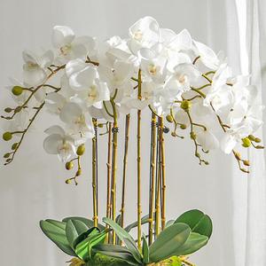 Artificial Orchid Plant, 35 Inch 4 Pcs Phalaenopsis Flowers with Leaves, Real Touch Orchid Stems for Home Decoration