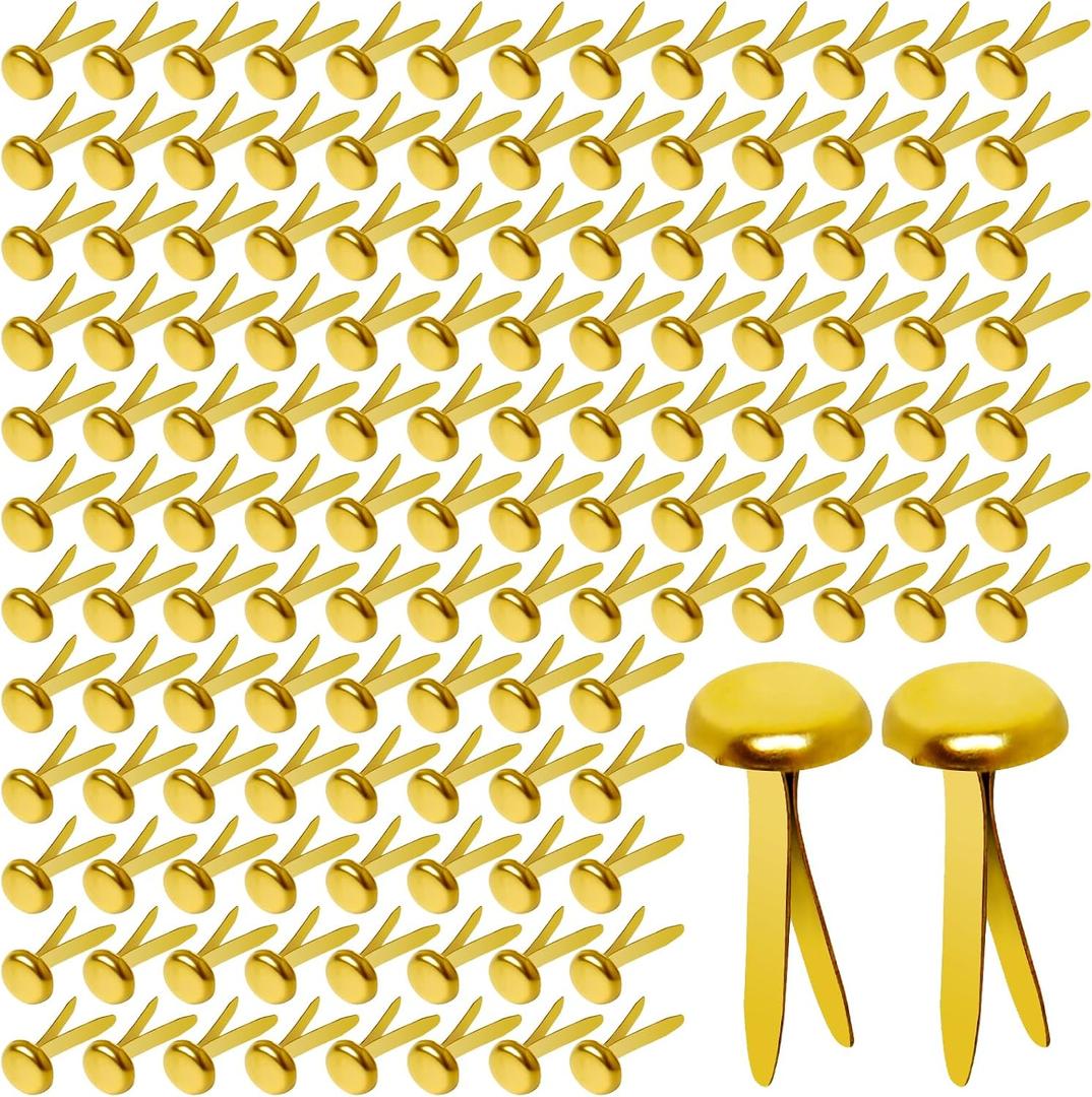 Paper Brass Fasteners, 3/4-Inch Metal Brass Brads Round Brads for Paper Crafts Making DIY, 300 Pack