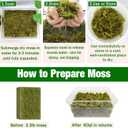 ZeeDix 3.3 lbs Forest Moss for Plants Indoor - Dried Orchid Moss for Repotting, Natural Green Sphagnum for Potted Plants Carnivorous Monstera Succulents Crafts Reptile Habitat (Expands to 60 qt)