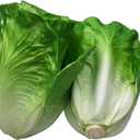 Lorigun Artificial Lettuce, Fake Vegetable, Artificial Vegetables for Decoration, Home Kitchen Decor, PU Vegetable 2 Pcs