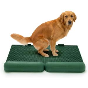 DOGTOC Reusable Indoor Dog Potty Tray - Eco Friendly Pee Pad Free Pet Toilet | Large Puppy Training Tray, Washable & Sustainable, Green, Set of 2