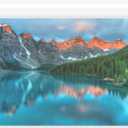 Clear Bags for Art Prints & Photos, Acid Free Self Seal Print Sleeves, Poster Sleeves - 50-Pack