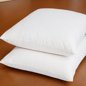 18 x 18 Inches Throw Pillow Inserts Set of 2 Decorative Down Alternative Pillow Filler for Cushion Covers
