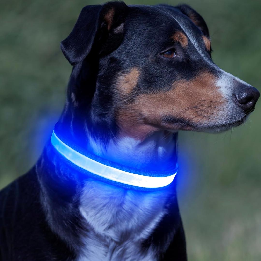 Vizpet LED Dog Collar, Light Up Dog Collar Adjustable USB Rechargeable Super Bright Safety Light Glowing Collars for Dogs ,Blue M