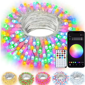 echosari Christmas Smart String Lights