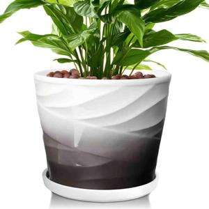 8 Inch Plant Pot,Ceramic Planter with Drainage and Saucer,Ceramic Pots for Plants,Indoor Plant pots,Ceramic Flower pots(Dark Gray+White)