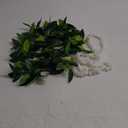 2 Pcs Hawaiian Luau Maile and Pikake Lei Graduation Lei Hawaiian Maile Lei Artificial for Wedding Graduation Party, 4.9 ft
