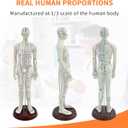 1/3 Life Size Human Acupuncture Model, 21'' Human Acupuncture Point Mannequin with Acupuncture Point Location Instructions Used for Needle Insertion Practice