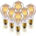 Warm Edison Light Bulbs, 60 Watt A19 Vintage Incandescent Light Bulbs, Dimmable Yellow Old Fashioned Amber Light Bulbs, 2100K Warm White, E26 Base, 6 Pack