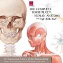 The Complete Portfolio of Human Anatomy and Pathology: Digital Copy
