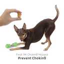 Bully Stick Bolt for Dogs Dog Treat Holder, Hold on to Last bite - Securely Firm to Help Prevent Choking, Dog Safety Device - Silicone Covering for Floor Protection and Noise Reduction (Green)