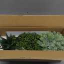 Winlyn Set of 3 Artificial Succulent Plants in Black Concrete Pots Faux Aloe Hops String of Pearls Potted Plants Small Fake Plants Desk Plants for Home Office Desk Kitchen Bathroom Shelf Windowsill