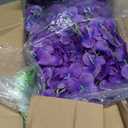 Waipfaru 40 Pack Purple Wisteria Hanging Flowers, Fake Hanging Flowers for Decoration, Artificial Flowers,Vines for Bedroom,Flower Garland for Home,Party,Garden, Wall,Wedding Decoration(3.6 Ft/Pcs)