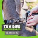Mighty Paw Martingale Collar with Buckle | Training Dog Collar, Limited Cinch Chain Pet Gear for No Pull Dog Walking. Martingale Dog Collars for Large Dogs, Medium Breeds and Small Pets (Grey)