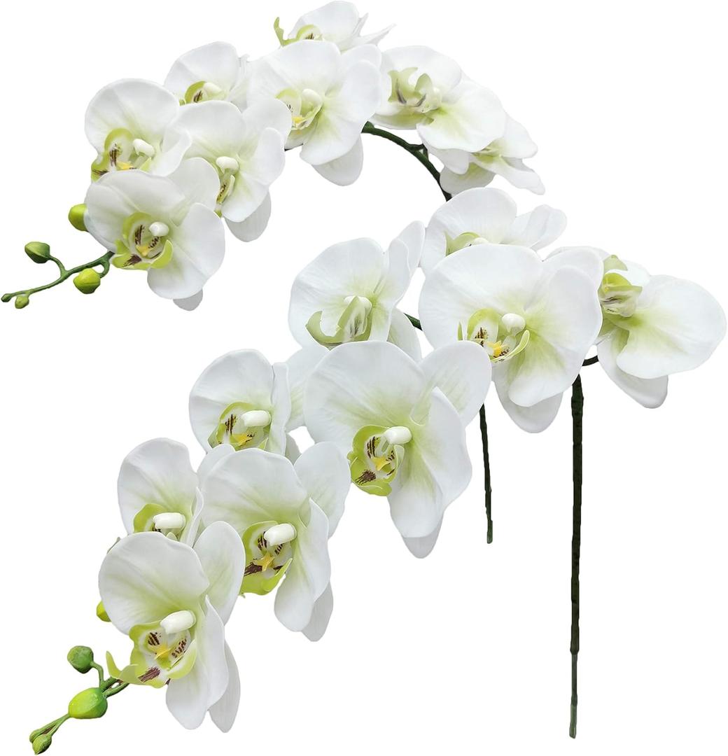 Fnize Faux Orchid Stems Real Touch Artificial Phalaenopsis Flowers Latex Petals 38 Inches 2pcs (Green White)