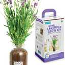 Back to the Roots Windowsill Planter: Lavender