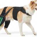 Dog Leg Braces for Back Leg, Adjustable Dog Knee Brace with 4 Stabilizers, Hip Support to Reduces Pain, Ligament Injuries & Luxating Patella & ACL CCL for  Large Dogs, Large 