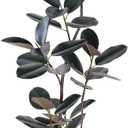 Artificial Rubber Tree - 6 FT Tall Fake Tree with Pot - Large Artificial Plants Indoor, Lifelike Branches & Foliage - Faux Plants Indoor for Home Office Living Room Floor Patio Greening