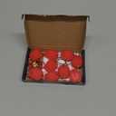 10 Pack Ultra Bright Mini LED Keychain Flashlight, Small Key Ring Flashlight, Portable LED Keychain Light for Outdoor Activities Emergency Light - Red Shell