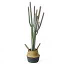 NCYP 4ft (48 Inch) Tall Artificial Cactus in Plastic Planter with Seagrass Basket - Faux Small Saguaro Cacti Potted for Home, Room, Office, Indoor Farmhouse Floor Decor, Fake Plants