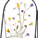 Double Glass Frame for Pressed Flowers Handmade, Metal Floating Picture Frame for Pressed Flower, Tabletop Display, Brass, ArcShaped, Black, 6x8 inches (FRAME ONLY) (6L" x 8W")