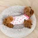 FEimaX Dog Surgery Recovery Suit Female and Male Spay with Pee Hole, Pet Body Suits for Puppy After Spayed, Neuter Surgical Onesie for Small and Medium Dogs Cats, Alternative Bandages E-Collar & Cone, S