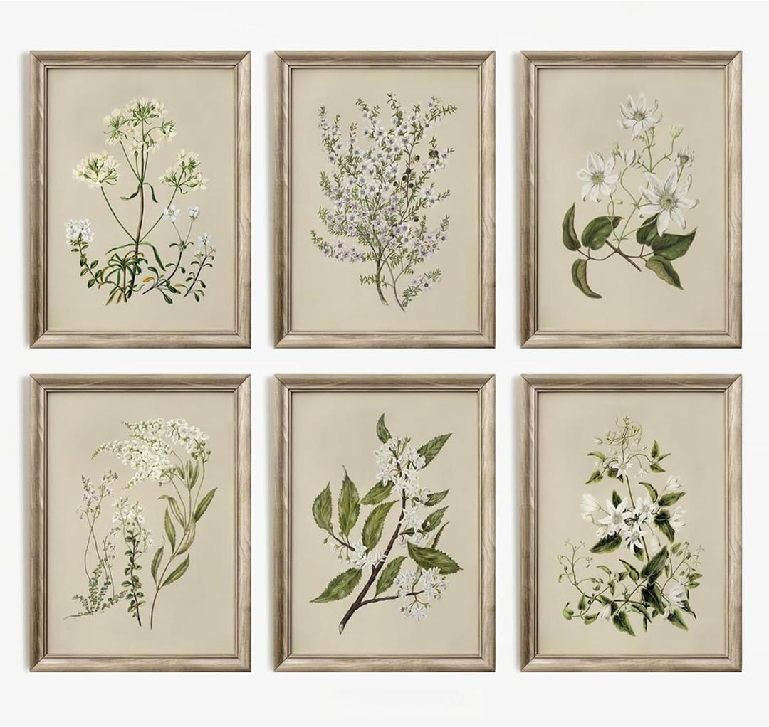 Vintage Botanical Wall Art Set of 6 Neutral Floral Canvas Wall Decor Wildflower Wall Art Watercolor Flower Prints Botanical Poster Minimalist Plant Pictures for Bedroom Living Room 8x10 Inch Unframed