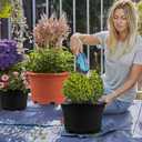 Pack 8.5 inch Plant Pot,Outdoor Flower Pots,Plastic pots for Plants Indoor with Drainage Holes and Trays, Decorative Garden Containers Sets for Houseplants (Black)