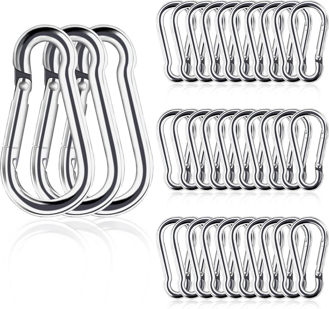 Small Carabiner Clip, 30pcs 1.57inch Mini Carabiners Clips, M4 Stainless Steel Spring Snap Hook Heavy Duty, Locking Carribenares for Climbing Hiking Camping Fishing