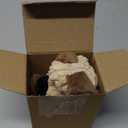 MeetYooo Squeaky Stuffed Dog Toys, Chew Toy for Large Medium Small Breeds, Plush Dog Toys to Keep Them Busy, Puppy Teething Dog Toy, Crinkle Dog Toy (Khaki Dog)