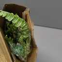 FOTEEWL 70 Pcs Artificial Greenery Stems Box Set,with 8 Kinds of Faux Plants and Fake Flowers for DIY Bridal Bouquets Wedding Floral Arrangement Table Centerpieces Decoration (Sage Green & White)