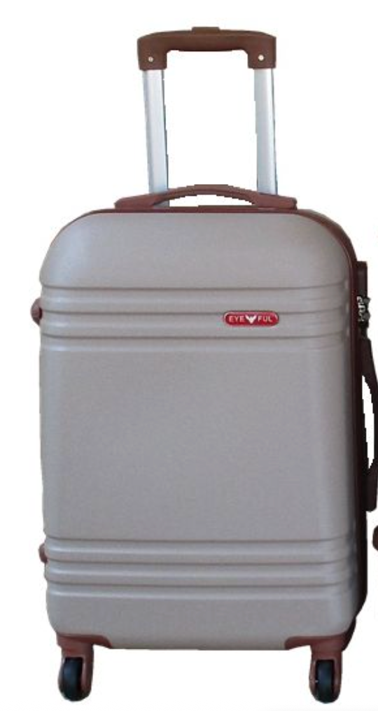 EyeFul Carry Bag 21"H x 8.5"W