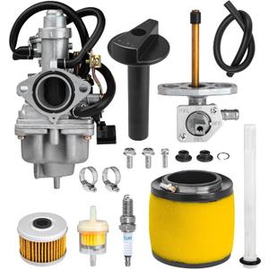 BlueStars TRX250 Carburetor Kit - Compatible with Honda TRX 250 Recon (TRX250TM, TRX250TE) ATV - Replaces 16100-HM8-B01, Includes Petcock, Air Filter, Fuel Filter, Oil Filter, Spark Plug, Lever Screw