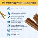 N-Bone Puppy Teething Sticks Variety Pack, Chicken & Pumpkin & Peanut Butter Flavor, Total 3 Bags, 11.22-oz (EXP 11/18/27)