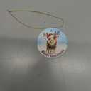 2 x Christmas Ornament - Lion Merry Christmas Ceramic Ornament, Xmas Tree Decoration, Hanging Ornament, for Family, Friends, Animal Lovers
