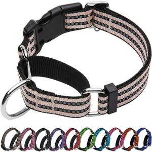 Martingale Dog Collar, Adjustable Nylon Reflective Collar with Quick Release Buckle (Pink Ivory, Large)