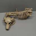 JOYIN Wiener Dog Skeleton, Halloween Decorations with Movable Joints for Graveyard Scenes Haunted House Prop Party Decor Spooky Indoor Outdoor Decorations