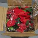 8 Pcs Artificial Impatiens Flowers for Outdoors Faux Impatiens Bushes Red Silk Flowers Greenery Artificial Impatiens for Outdoors Patio Lawn Garden Balcony Pot Hanging Basket Porch Decoration