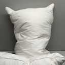 puredown Goose Feather Down Pillows Queen Size Set of 2, Soft Fluffy Luxury Hotel Collection Bed Pillow for Back, Stomach or Side Sleeper.