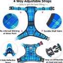 PoyPet No Pull Dog Harness, Reflective Adjustable No Choke Pet Vest with Front & Back 2 Leash Attachments, Soft Control Training Handle for Small Medium Large Dogs(Checkered Blue & Green,XL)