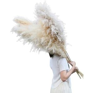 AnziMoss® 55" Tall Pampas Grass with 10 Stems, Pure Natural Dried Color, Large and Fluffy Pompas, Dried Flower for Home Decor, Wedding, Boho, Floor Vase, Floral Arrangement, Craft, Garden