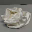 Blissy Silk Pillowcase - 100% Pure Mulberry Silk - 22 Momme 6A High-Grade Fibers - Silk Pillow Cover for Hair & Skin - Regular, Queen & King (Blissy White, Standard)