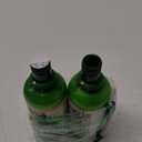 TheraBreath Fresh Breath Mouthwash, Mild Mint Flavor, Alcohol-Free, 16 Fl Oz (2-Pack)